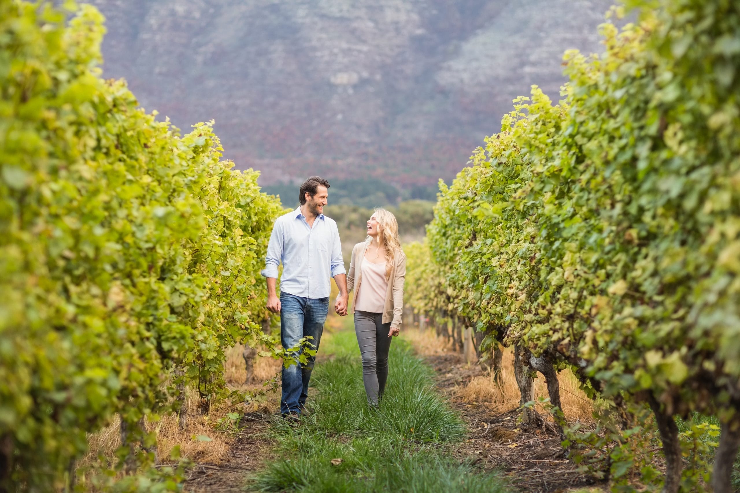 Romance and Fine Dining in the Winelands