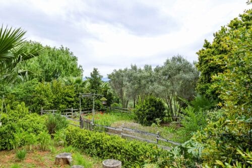 A Charming Country Retreat in Robertson